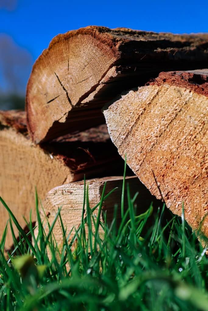 Oak-Firewood-on-Grass-1024px.jpg